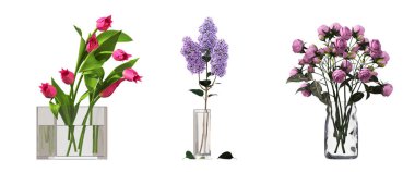 decorative flowers and plants for the interior, isolated on white background, 3D illustration, cg render