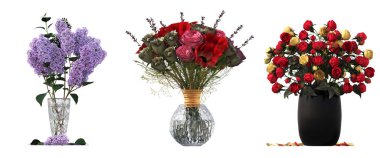 decorative flowers and plants for the interior, isolated on white background, 3D illustration, cg render