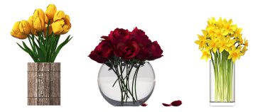 decorative flowers and plants for the interior, isolated on white background, 3D illustration, cg render