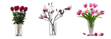 decorative flowers and plants for the interior, isolated on white background, 3D illustration, cg render