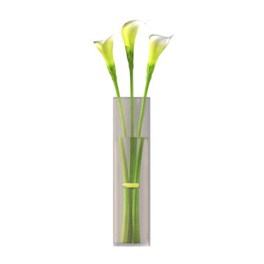 decorative flowers in vase for the interior, isolated on white background, 3D illustration, cg render