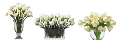 decorative flowers for the interior, isolated on white background, 3D illustration, cg render