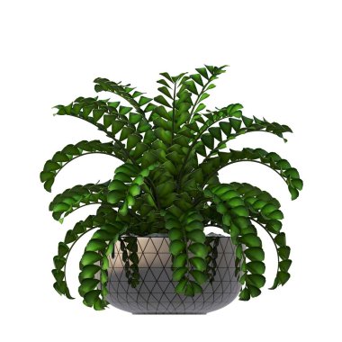 decorative flowers and plants for the interior, isolated on white background, 3D illustration, cg render