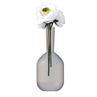 decorative flowers and plants for the interior, isolated on white background, 3D illustration, cg render