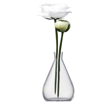 decorative flowers and plants for the interior, isolated on white background, 3D illustration, cg render