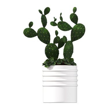 decorative flowers and plants for the interior, isolated on white background, 3D illustration, cg render