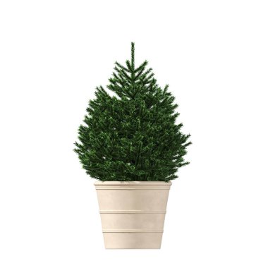 decorative flowers and plants for the interior, isolated on white background, 3D illustration, cg render