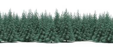 Lush green trees in forest, nature landscape