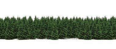 Lush green trees in forest, nature landscape