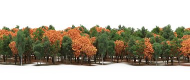 Autumnal forest with mixed green and orange trees