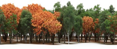 Autumnal forest with mixed green and orange trees