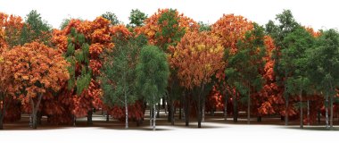 Autumnal forest with mixed green and orange trees
