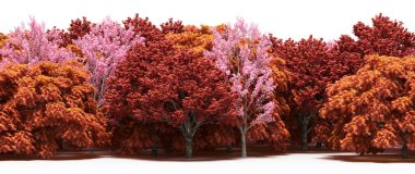 Pink and crimson trees - natural border