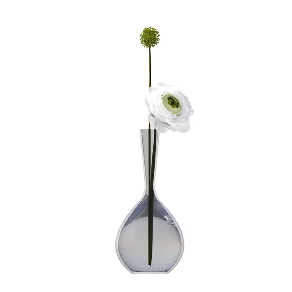 Flores Decorativas Plantas Para Interior Isolado Fundo Branco Ilustração Renderização — Fotografia de Stock