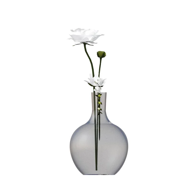 Decorative Flowers Plants Interior Isolated White Background Illustration Render — Fotografie, imagine de stoc