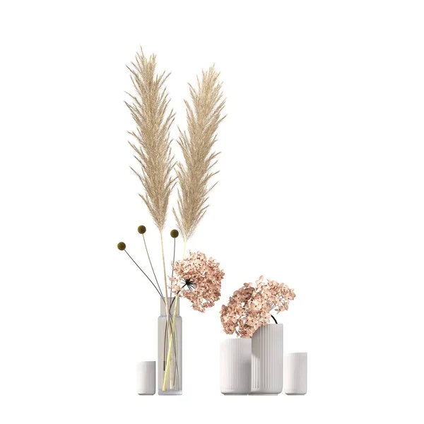 Fleurs Plantes Décoratives Pour Intérieur Isolées Sur Fond Blanc Illustration — Photo