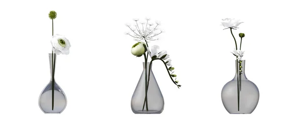 Декоративные Цветы Растения Интерьера Изолированные Белом Фоне Иллюстрация Рендеринг — стоковое фото