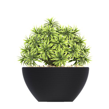 decorative flowers and plants for the interior, isolated on white background, 3D illustration, cg render