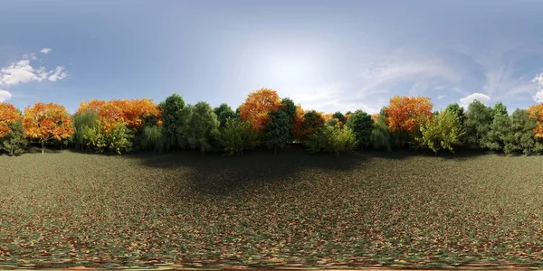 Panorama 360 Grados Del Bosque Prado Medio Los Árboles Ilustración — Foto de Stock