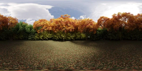 360 Grad Panorama Des Waldes Wiese Inmitten Der Bäume Illustration — Stockfoto