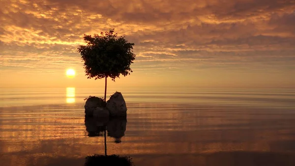 Δέντρο Ένα Νησί Στη Μέση Μιας Λίμνης Όμορφο Τοπίο Εικονογράφηση — Φωτογραφία Αρχείου
