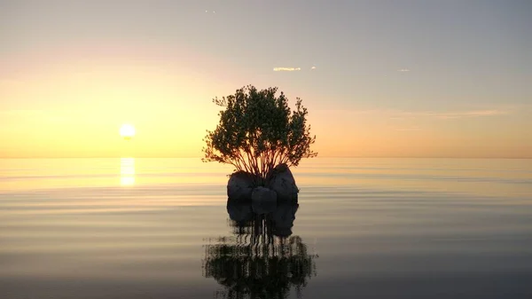 Pohon Sebuah Pulau Tengah Danau Pemandangan Yang Indah Ilustrasi Render — Stok Foto