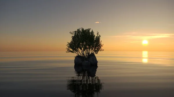 stock image tree on an island in the middle of a lake. beautiful landscape, 3D illustration, cg render