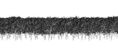 Ormandaki siyah ve beyaz ağaçlar beyaz arka planda izole edilmiş, eskiz, taslak çizimi, taslak çizimi, cg canlandırması 