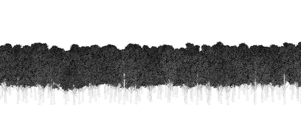 나무들이 배경에 고립되어 스케치하고 윤곽을 그리고 그림을 그리고 렌더링한다 — 스톡 사진