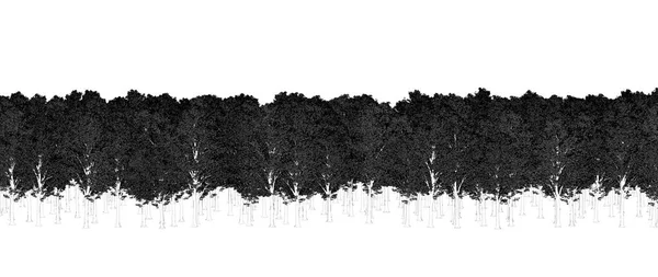 Μαύρα Και Άσπρα Δέντρα Στο Δάσος Απομονωμένα Λευκό Φόντο Σκίτσο — Φωτογραφία Αρχείου