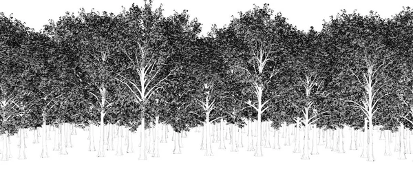 Μαύρα Και Άσπρα Δέντρα Στο Δάσος Απομονωμένα Λευκό Φόντο Σκίτσο — Φωτογραφία Αρχείου