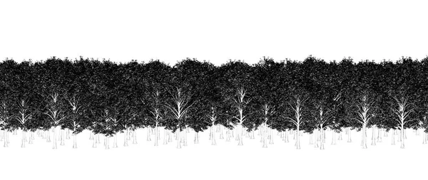 Černé Bílé Stromy Lese Izolované Bílém Pozadí Náčrt Obrys Ilustrace — Stock fotografie