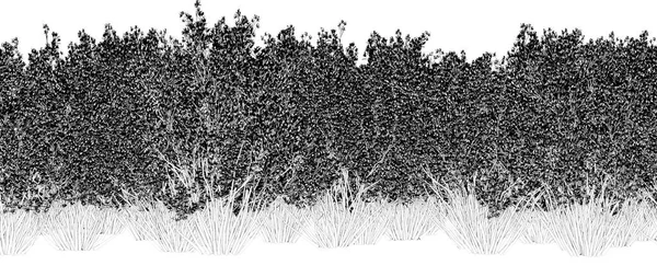 Fekete Fehér Fák Erdőben Elszigetelt Fehér Háttér Vázlat Vázlat Illusztráció — Stock Fotó