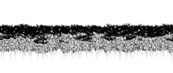 Schwarz Weiße Bäume Wald Isoliert Auf Weißem Hintergrund Skizze Umrissillustration — Stockfoto