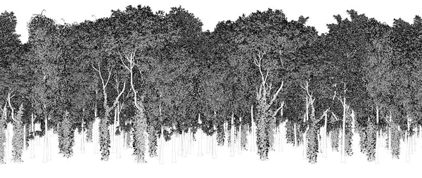 Czarno Białe Drzewa Lesie Odizolowane Białym Tle Szkic Ilustracja Konturu — Zdjęcie stockowe