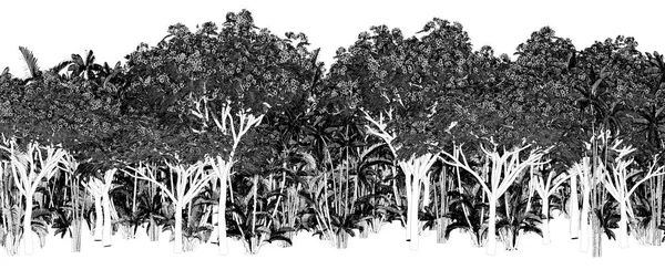 Árvores Pretas Brancas Floresta Isoladas Fundo Branco Esboço Ilustração Esboço — Fotografia de Stock
