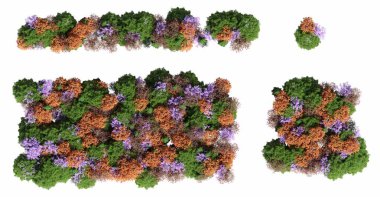 Ormandaki ağaçlar, beyaz arka planda izole üst görünüm, üç boyutlu illüstrasyon, cg canlandırma