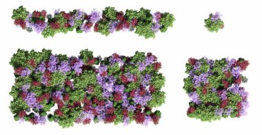 Ormandaki ağaçlar, beyaz arka planda izole üst görünüm, üç boyutlu illüstrasyon, cg canlandırma