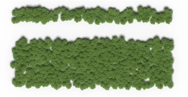 森の木々 白い背景に隔離された最上階の景色 3Dイラスト Cgレンダリング — ストック写真