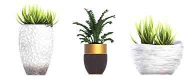 İç mekan için dekoratif çiçekler ve bitkiler, üst görünüm, beyaz arkaplanda izole edilmiş, 3D illüstrasyon, cg canlandırma