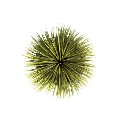 İç mekan için dekoratif çiçekler ve bitkiler, üst görünüm, beyaz arkaplanda izole edilmiş, 3D illüstrasyon, cg canlandırma