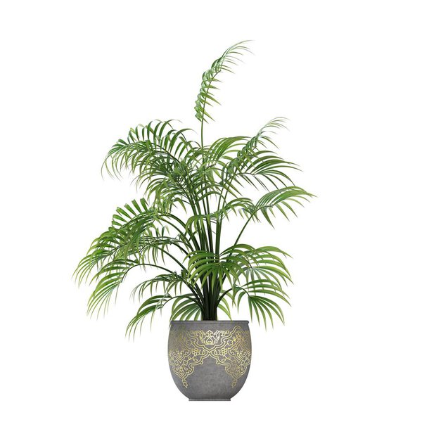 decorative flowers and plants for the interior, top view, isolated on white background, 3D illustration, cg render