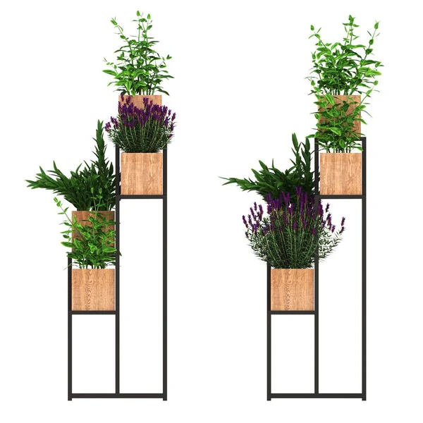 装饰花卉和植物内部 顶部视图 隔离在白色背景 3D插图 Cg渲染 — 图库照片