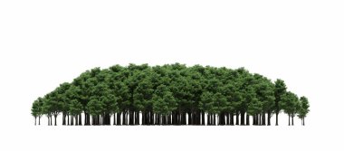 group of trees with a shadow on the ground, isolated on a white background, trees in the forest, 3D illustration