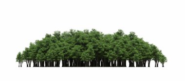 group of trees with a shadow on the ground, isolated on a white background, trees in the forest, 3D illustration