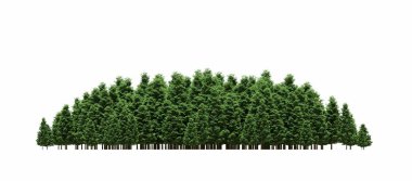 group of trees with a shadow on the ground, isolated on a white background, trees in the forest, 3D illustration