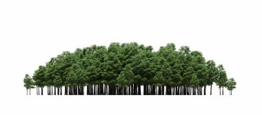 group of trees with a shadow on the ground, isolated on a white background, trees in the forest, 3D illustration