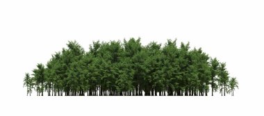 group of trees with a shadow on the ground, isolated on a white background, trees in the forest, 3D illustration