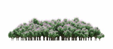 group of trees with a shadow on the ground, isolated on a white background, trees in the forest, 3D illustration