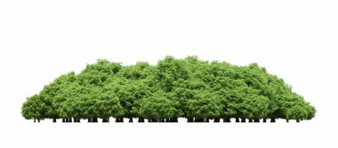 group of trees with a shadow on the ground, isolated on a white background, trees in the forest, 3D illustration